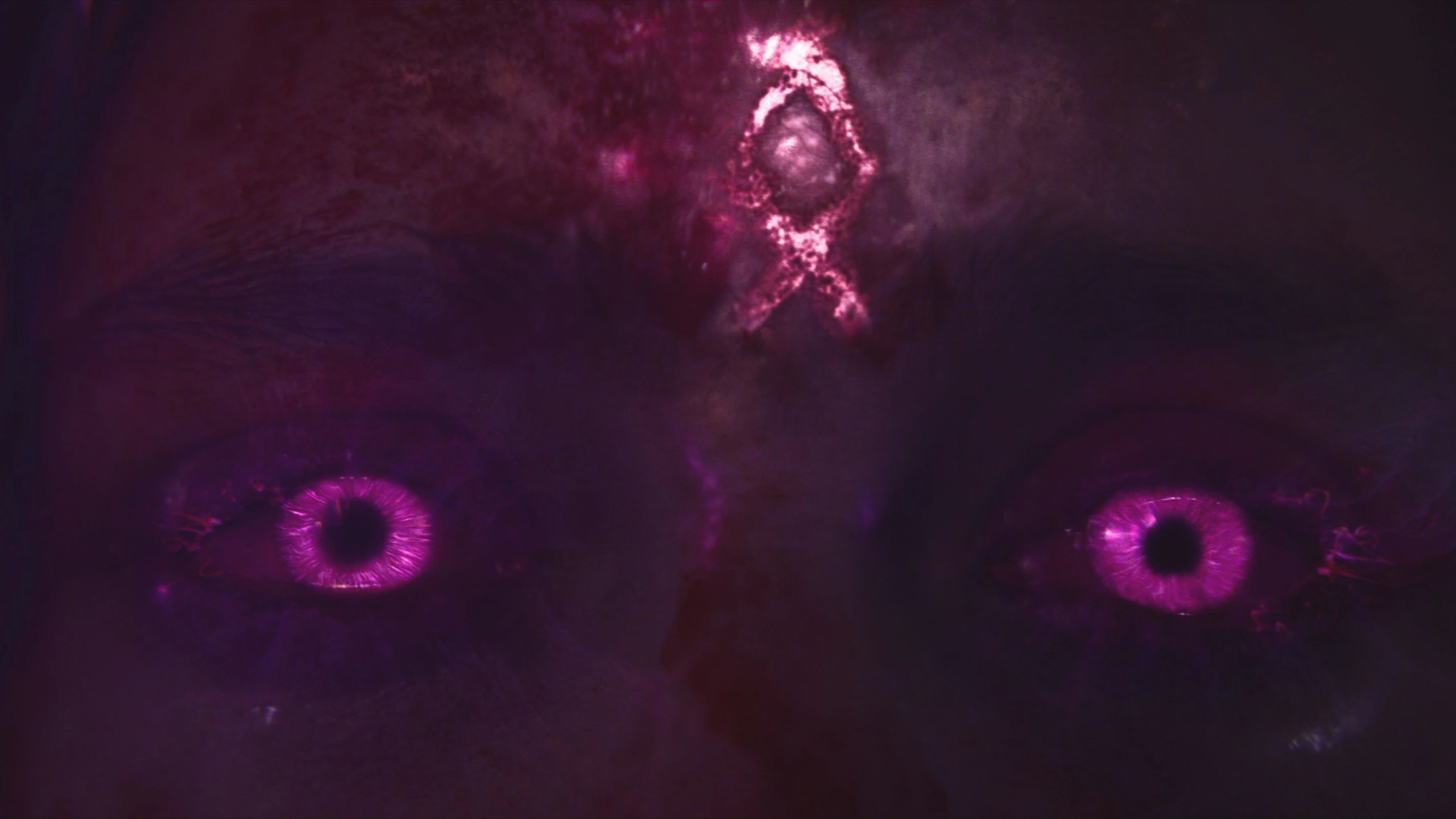 Кадр из фильма Ричарда Стэнли «Цвет из иных миров», Свечение из глаз, Color Out of Space